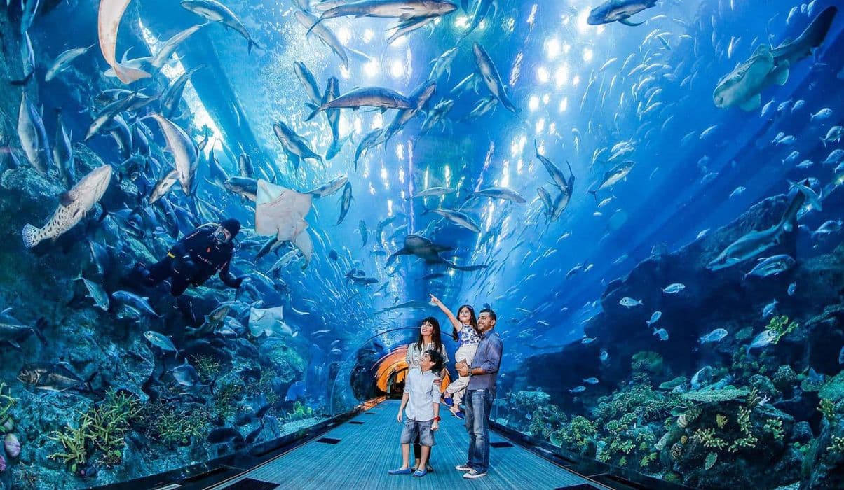 Dubai Aquarium and Underwater Zoo