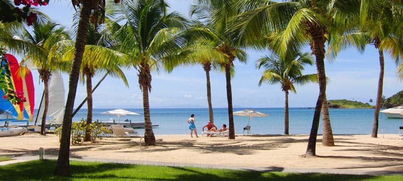 A beautiful Caribbean beach in St. Lucia with tall palm trees, soft golden sand, calm blue waters, and people relaxing under sun umbrellas on a bright, sunny day.