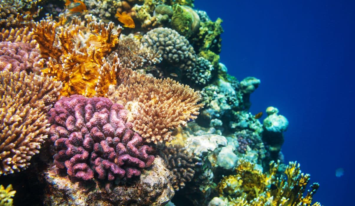 Adventure and Natural Wonders
