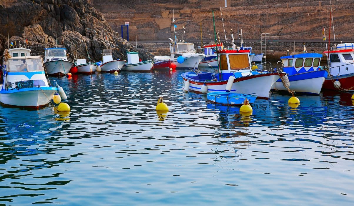Wander around the Old Harbour