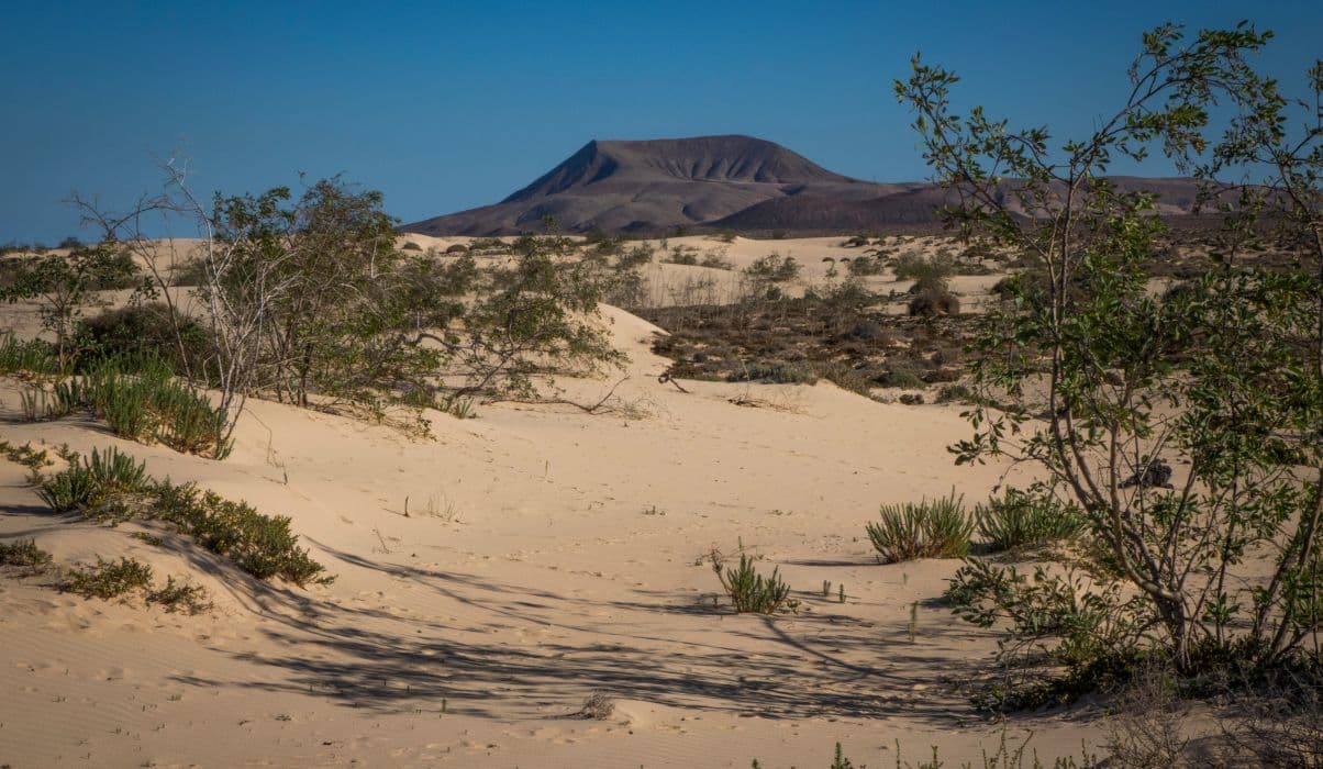 Corralejo Natural Park