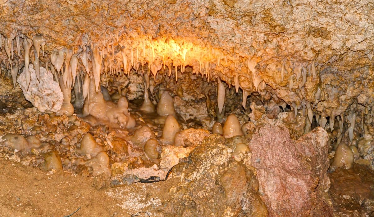 Explore Harrison’s Cave