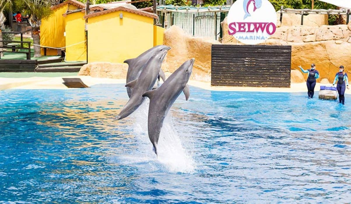 Selwo Aventura (Estepona)