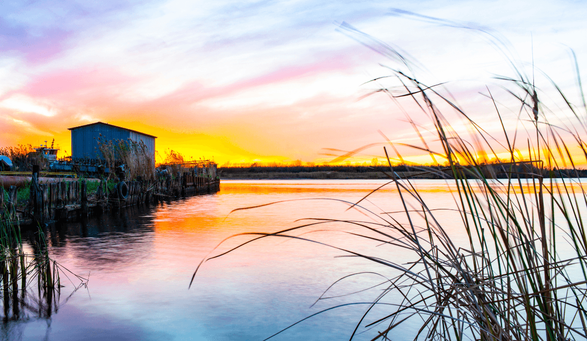 Unique landscapes and Bayous